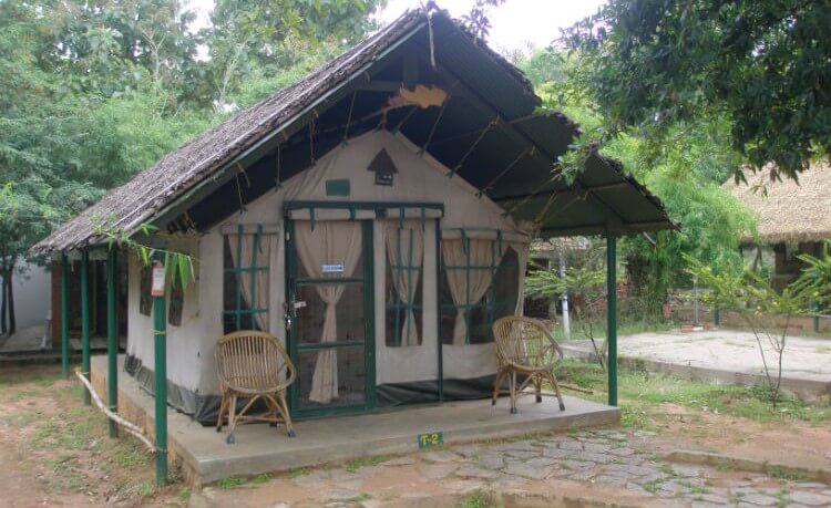 Bannerghatta Nature Camp