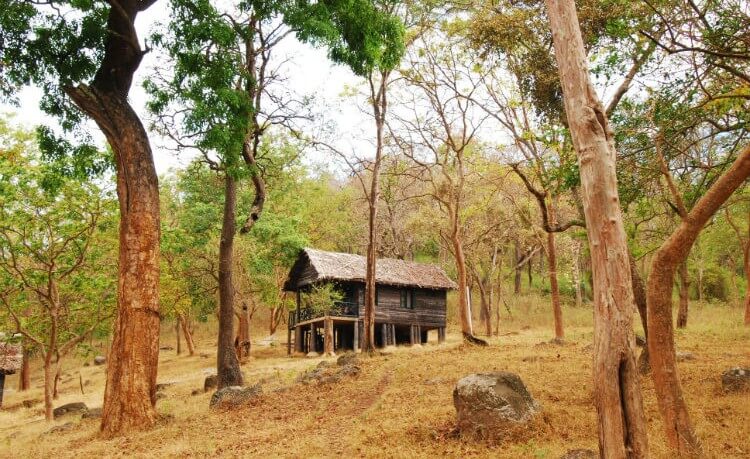 K Gudi Wilderness Camp