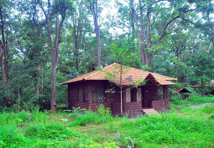Eco-friendly Homestay at Sangave, Dandeli