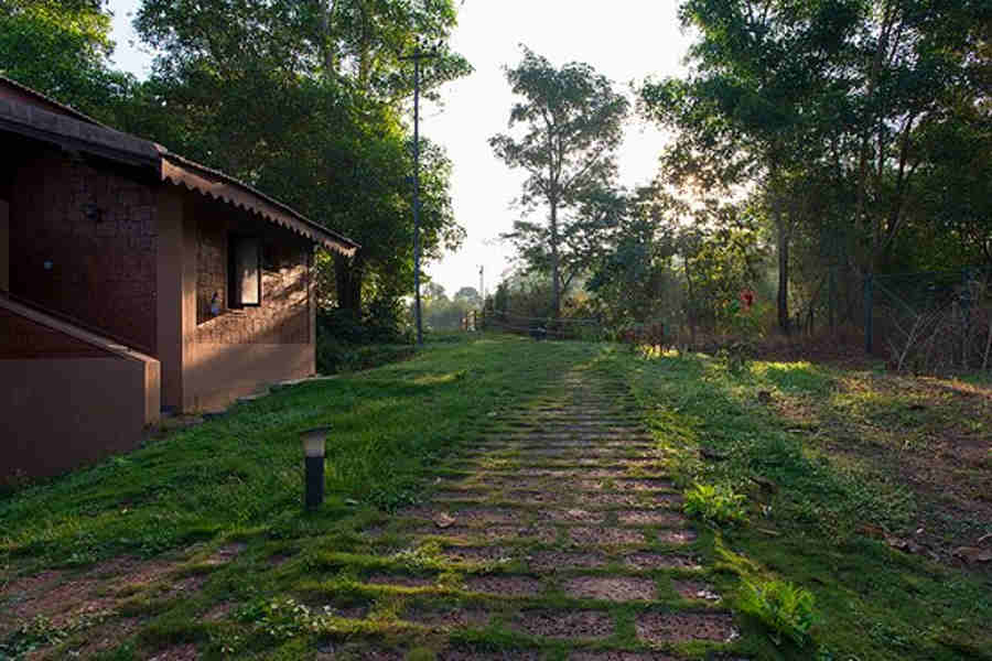 Walkway-to-the-room at Phalguni River Lodge