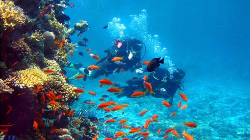 Scuba Diving at Andaman