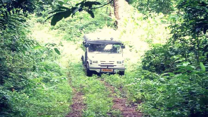 Kerala Tour - Drive through Gavi forest