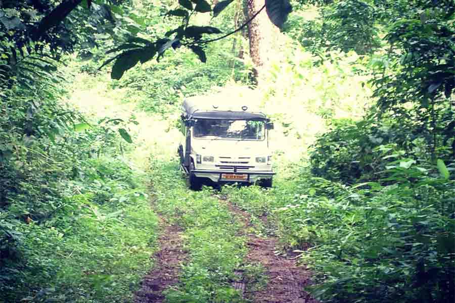 Kerala Tour - Drive through Gavi forest