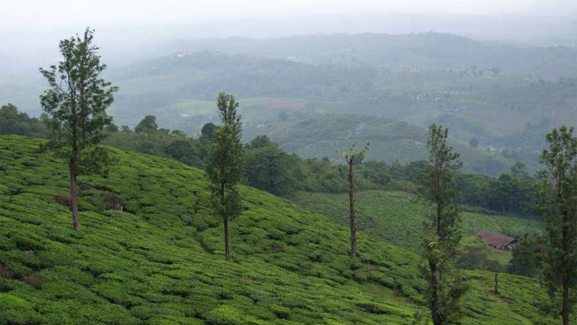 Wayanad - Online Travel Guide