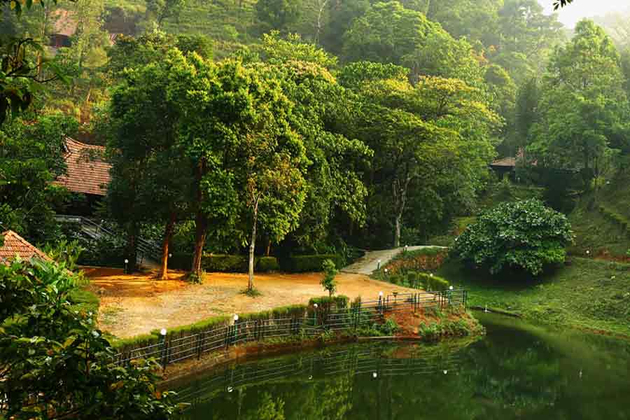 View of the Amazing Forest Resort Stay In Lakkidi