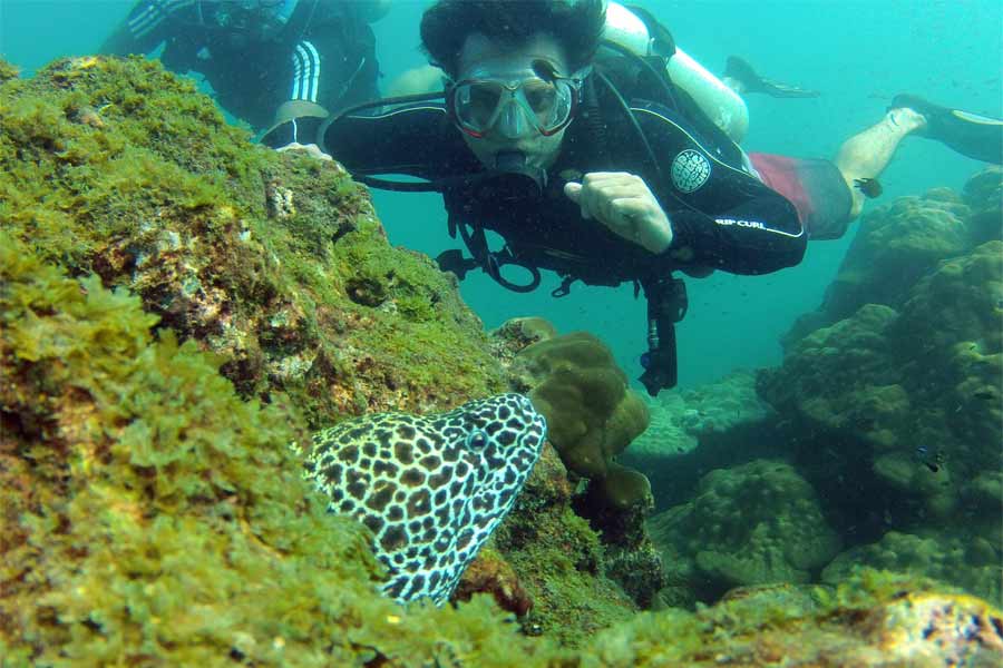 Sucba-Diving-at-Netrani---Underwater-experience