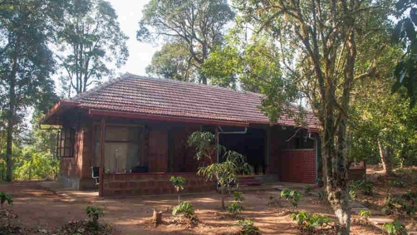 Eco lodge at Monnangeri