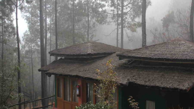 Misty morning at the Eco Lodge at Vijaypur in Kumaon