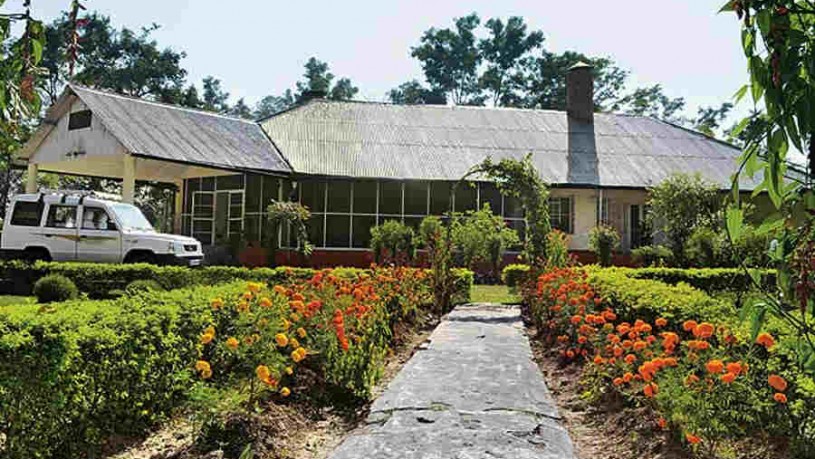 Heritage Bungalow near Dibru River1