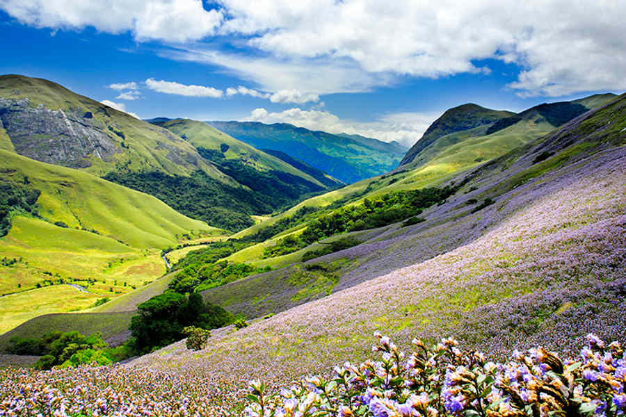 Araku Valley