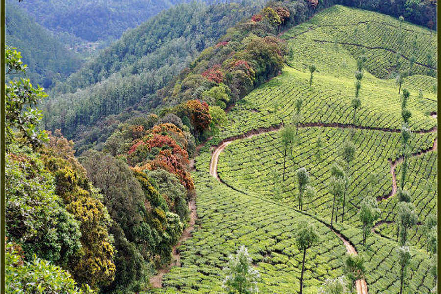 Chennai-Valparai