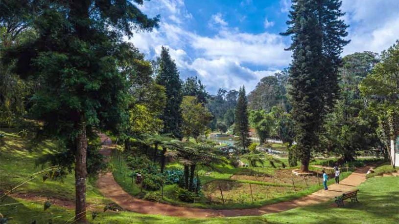 SIM's Park in Coonoor