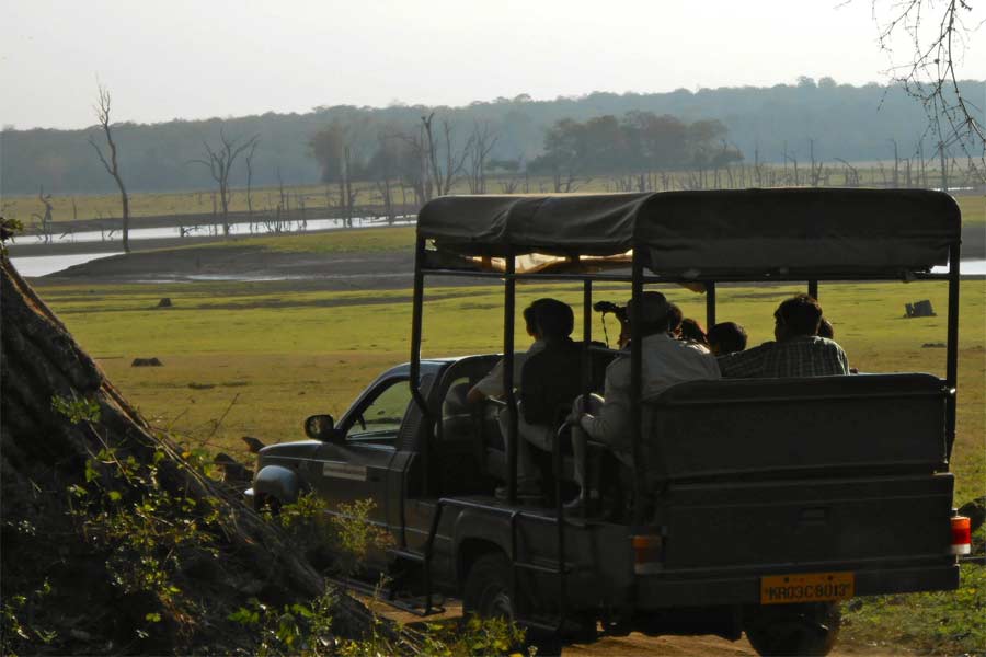 Jungle-Safari-At-Dandeli,-Karnataka