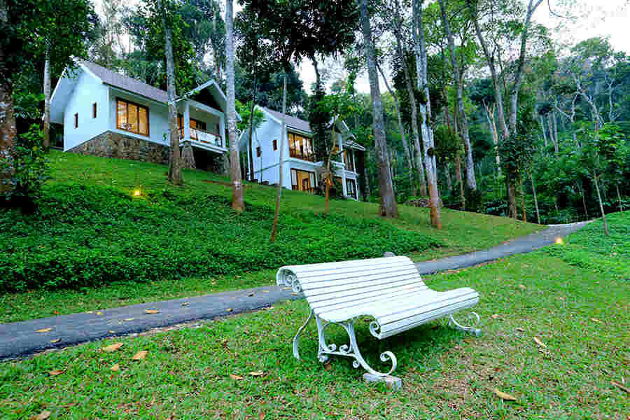 Lawn at Serene Eco-Friendly Resort In Thekkady