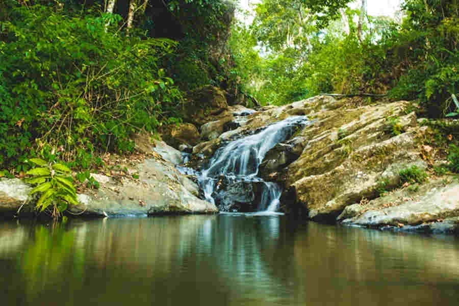 Water falls in the Plantation Resort In Letchmi Estate