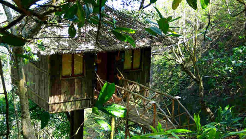 Indigenous Treehouse in Kumily