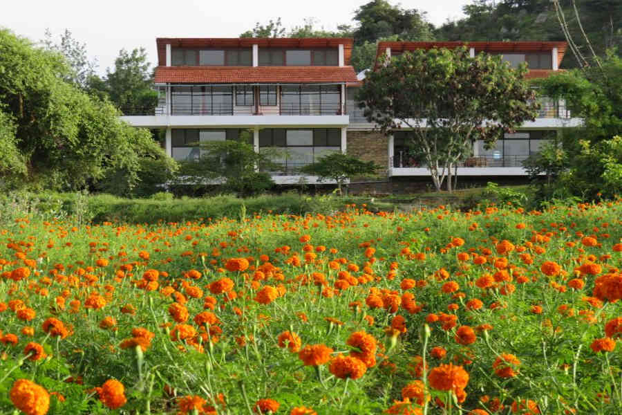 Eco-Friendly Lodge In Bandipur