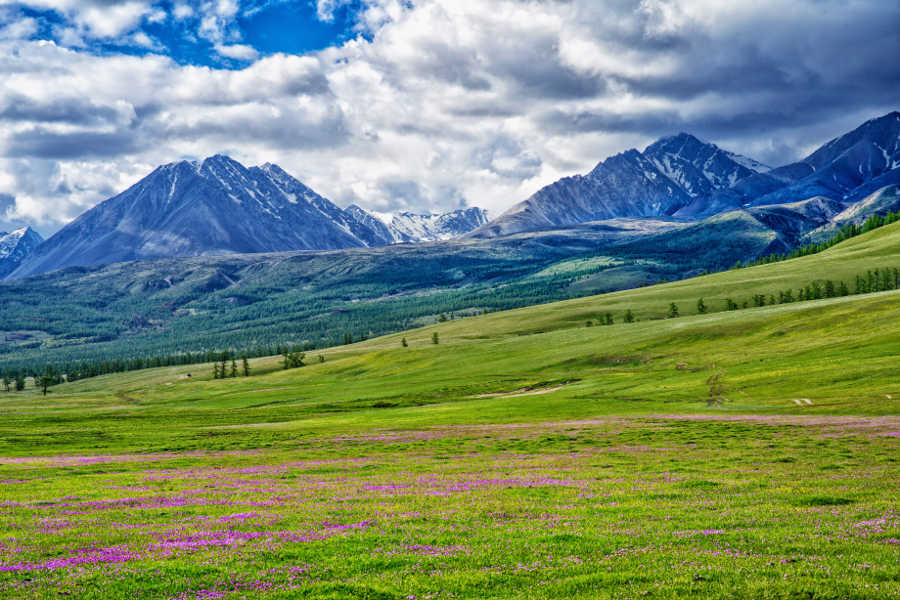 Mongolia The Russian Border Mountains