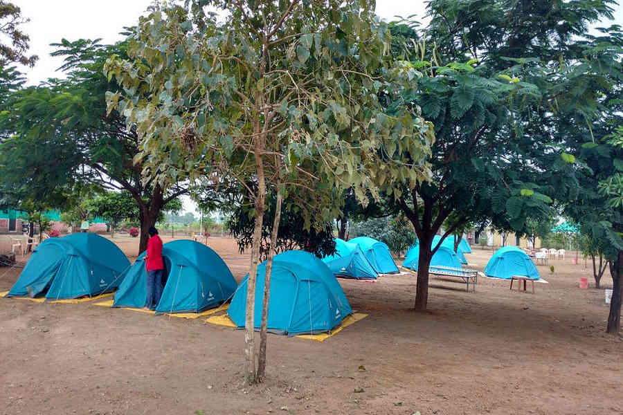 The really rustic Family Campsite Near Tikona Fort