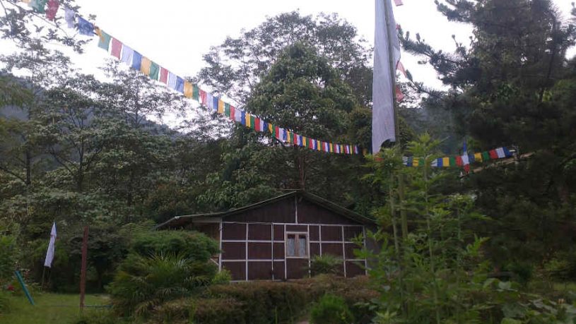 Exterior of the Jungle Lodge In Palmajua