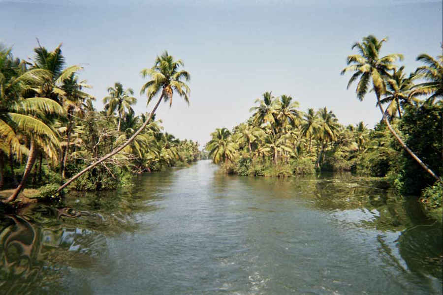 Alleppey-backwaters