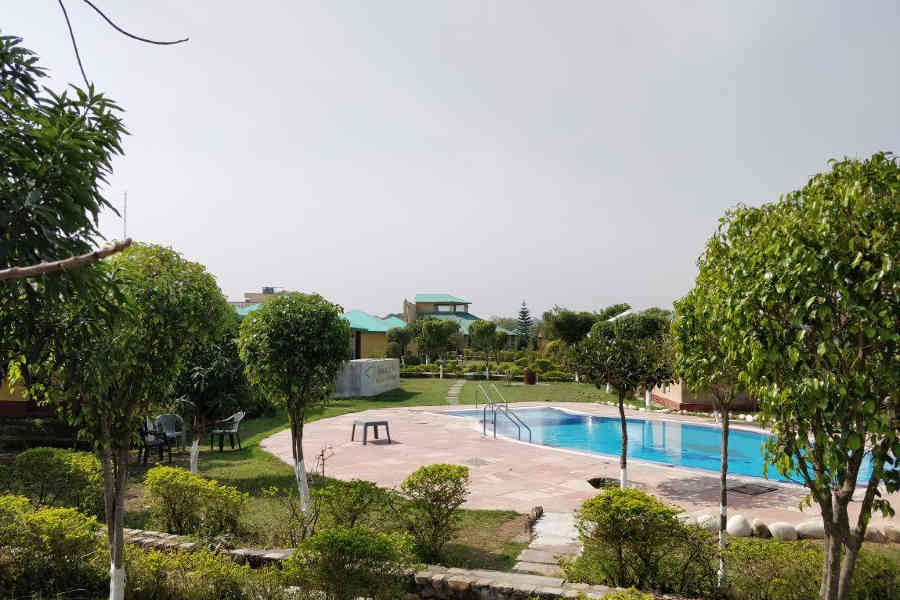 Pool at the Serene Forest Resort Near The Corbett National Park