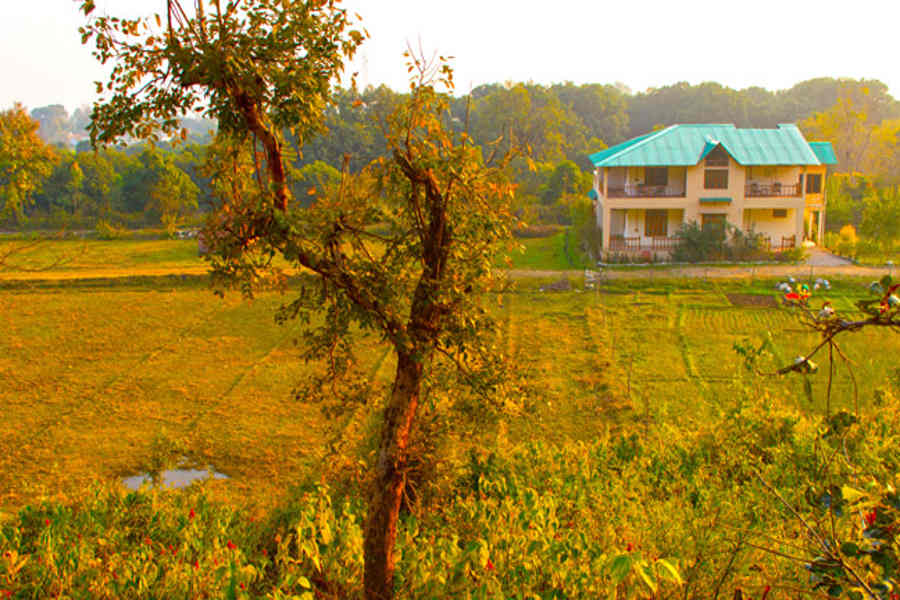 Grasslands outide the Jungle Lodge In Corbett