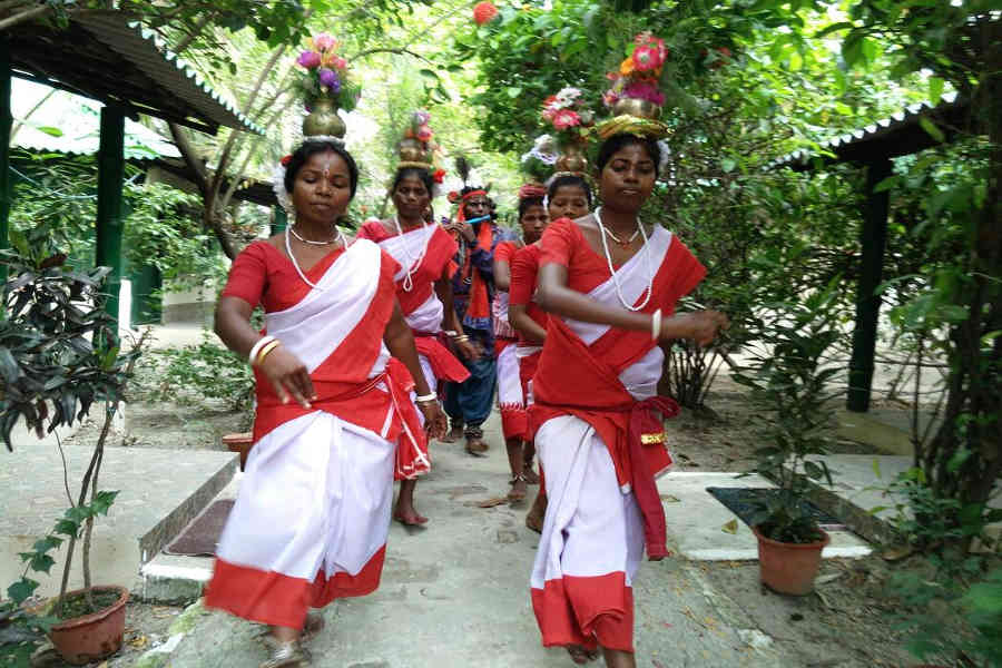 Adibasi Welcome at the at the Blissful Jungle Camp At Sunderbans