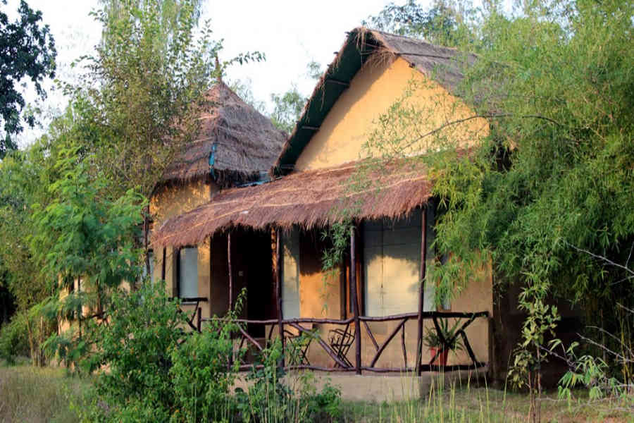 Jungle Retreat In Bandhavgarh