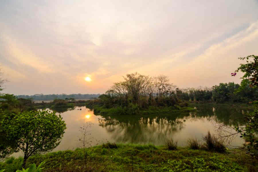 Migratory_Bird_Pond_at the Forest Retreat Near Gorumara National Park