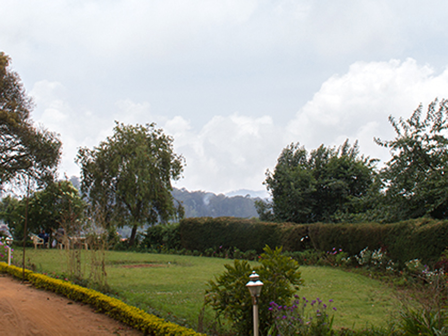 Scenery around British Style Bungalow at Attadi