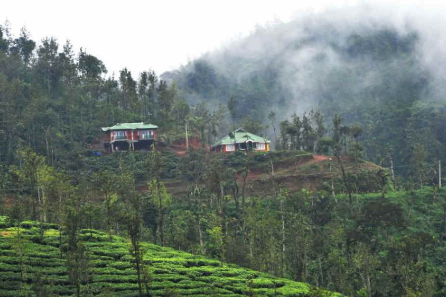 Green Homestay Amidst Plantation Estate
