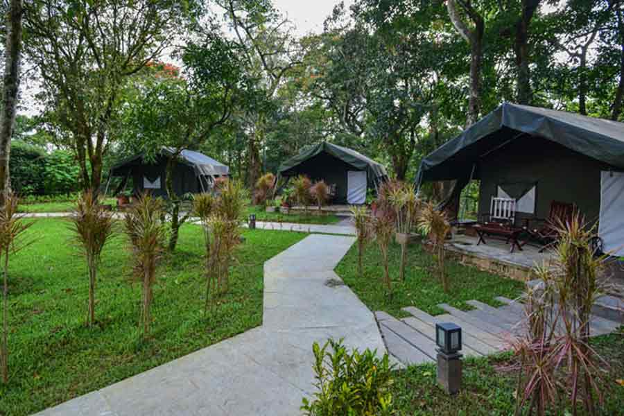Pathway at Patio at British Style Estate Bungalow 