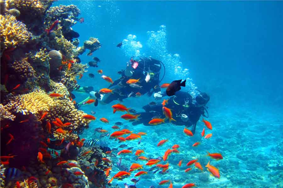 Scuba Diving at Andaman