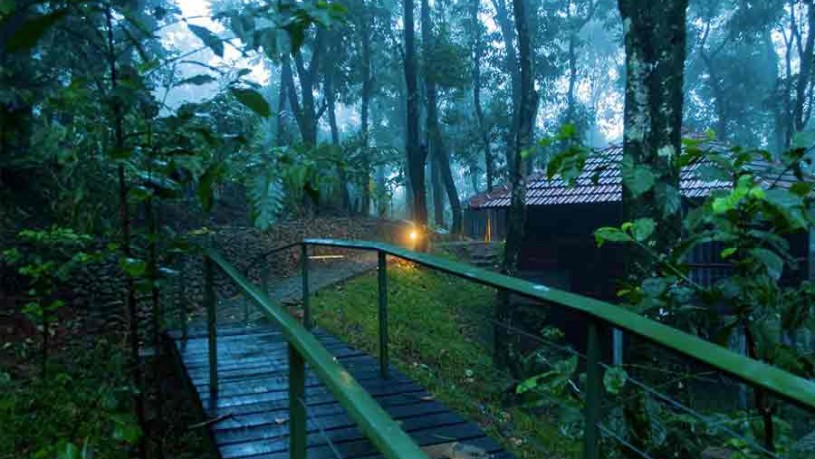 Inside-the-property at Best Forest Resort At Meppadi