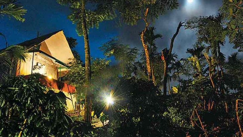 Night-view-of-Luxury Tent Stay At Pozuthana