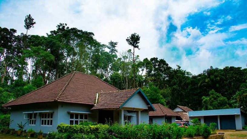 View-of-Plantation-Homestay-at-Nalkeri-in-Coorg