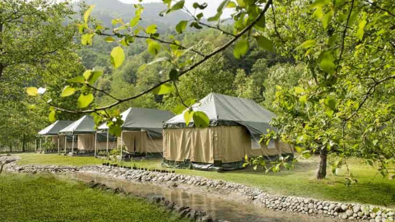 Camping Experience in the Riverside Forest Resort at Haripur in Manali