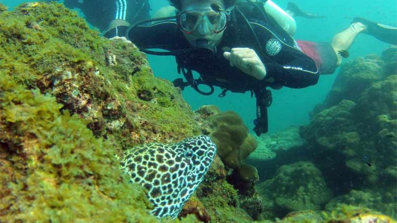 Sucba-Diving-at-Netrani---Underwater-experience