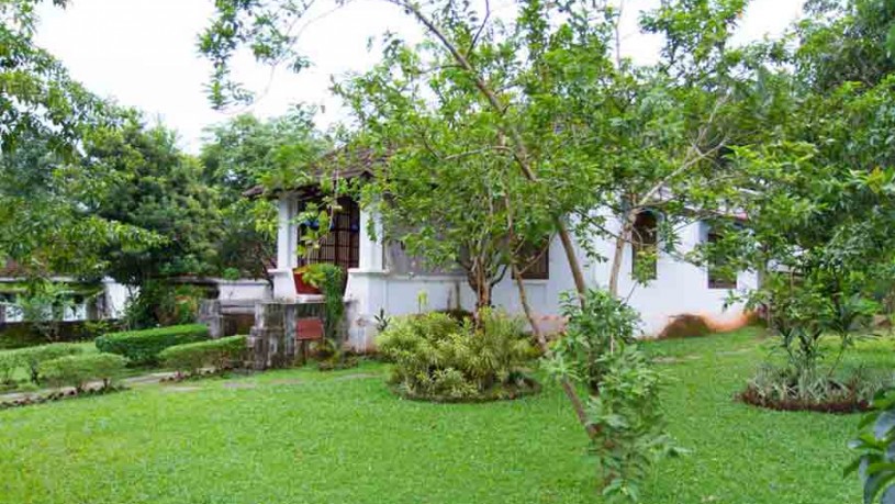 Garden view at Riverside Portuguese Colonial Villa at Aldona