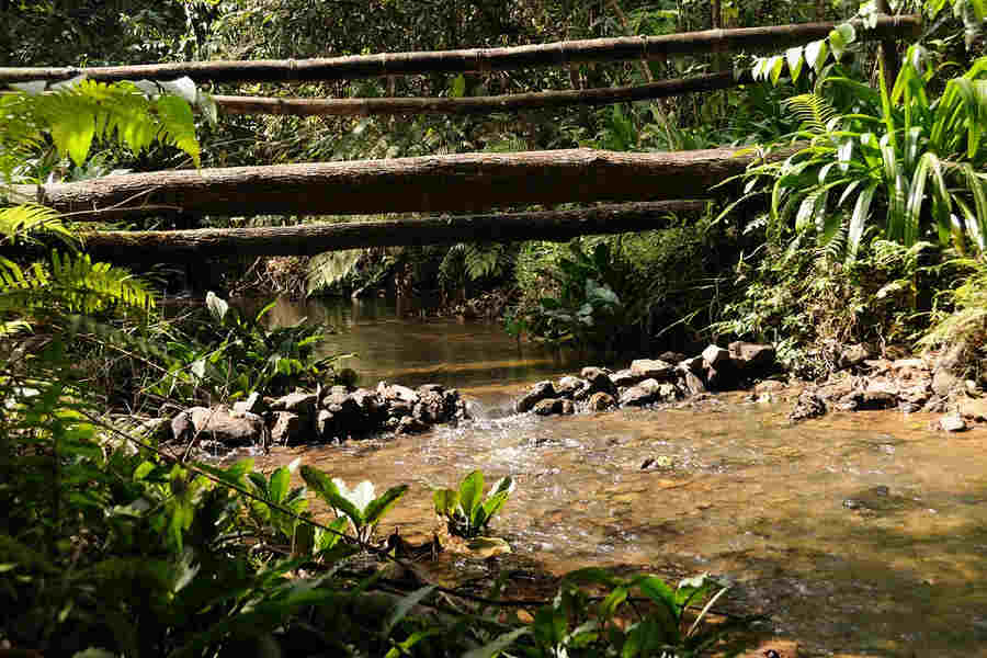 Stream at Eco friendly Cottages at Madikeri