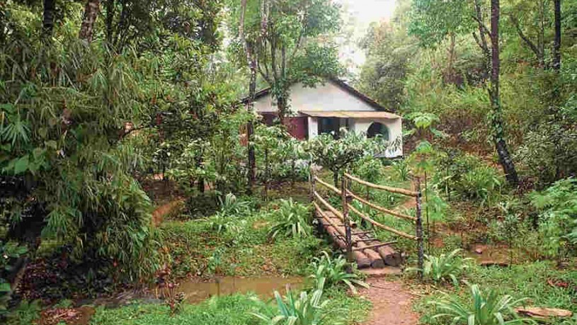 Eco friendly Cottages at Madikeri