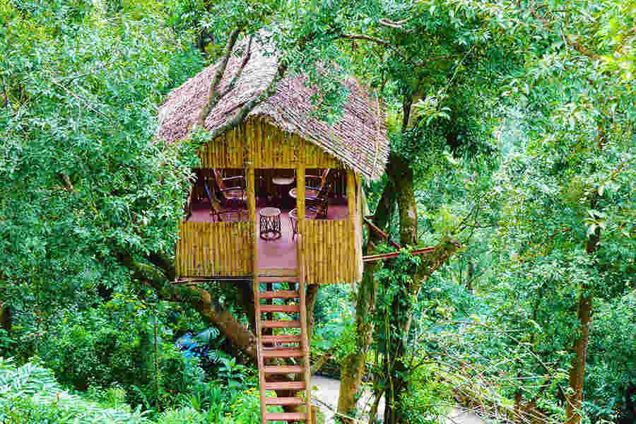 Tree Hut at Premium Luxury Resort In Pothamedu