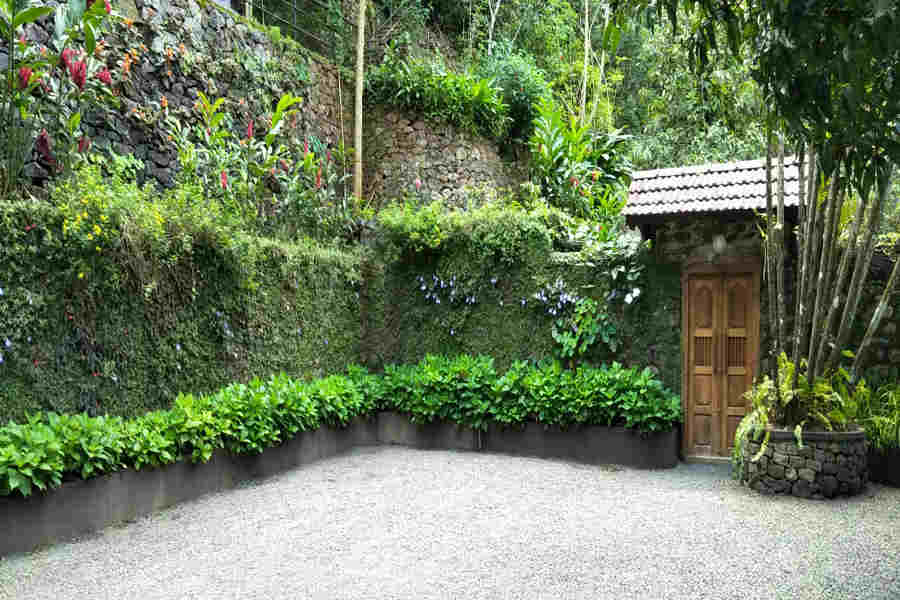 Vertical Garden in the Enchanting Heritage Homestay In Vagamon