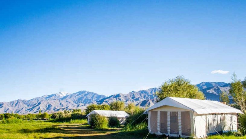 Glamping Stay At Leh