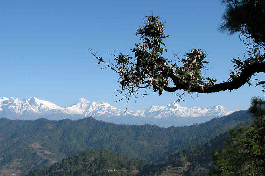 Himalayan View from Scenic Hilltop Resort Near Almora