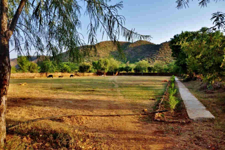 The Unique Campstay At Sariska