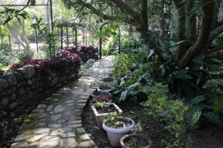 Walkway at the Upscale Resort in Dehradun