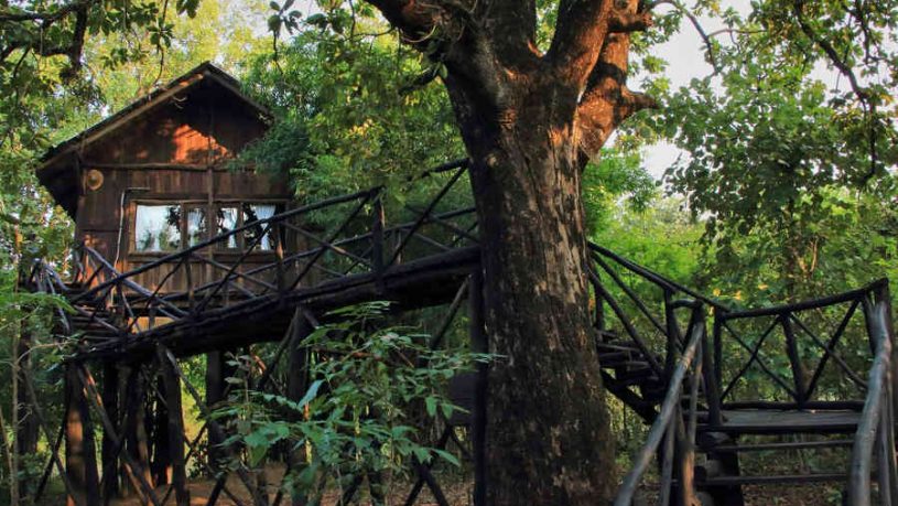 Luxury Treehouse At Bandhavgarh