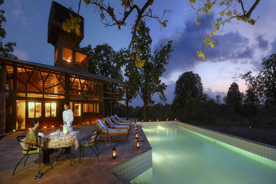 Swimming Pool at the Luxury Treehouse At Pench